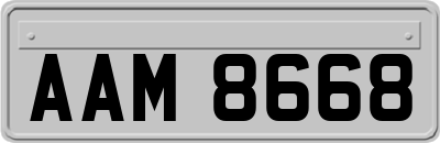 AAM8668