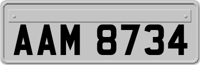 AAM8734