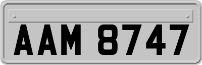 AAM8747
