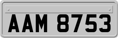 AAM8753