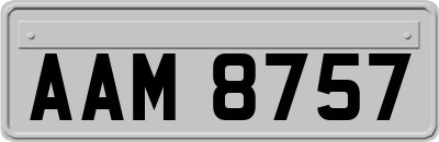 AAM8757