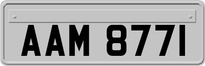 AAM8771