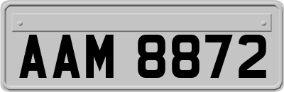AAM8872