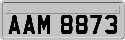 AAM8873
