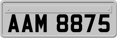 AAM8875