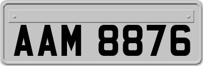 AAM8876