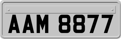 AAM8877
