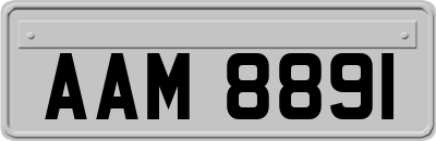 AAM8891