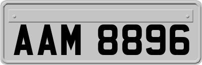 AAM8896