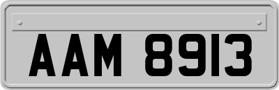 AAM8913