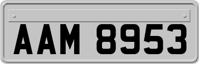 AAM8953