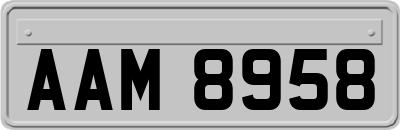 AAM8958