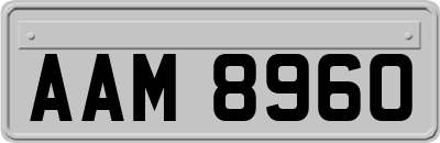 AAM8960