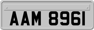 AAM8961