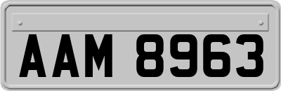 AAM8963