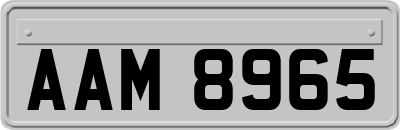 AAM8965