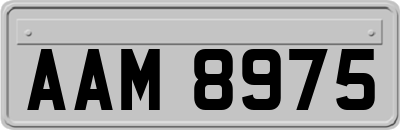 AAM8975
