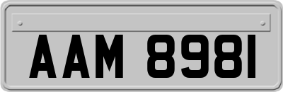 AAM8981