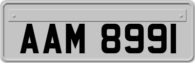 AAM8991