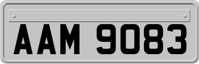 AAM9083