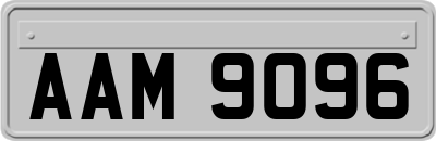 AAM9096