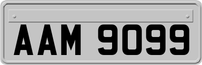 AAM9099