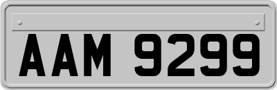 AAM9299