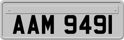 AAM9491