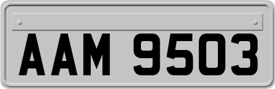 AAM9503
