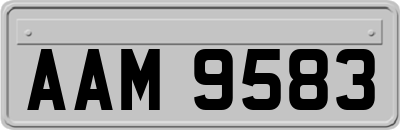AAM9583