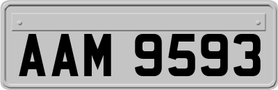AAM9593