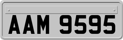 AAM9595