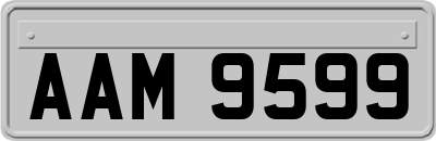 AAM9599