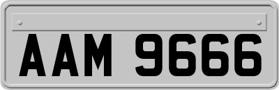 AAM9666