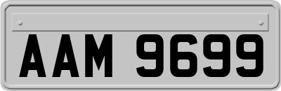 AAM9699