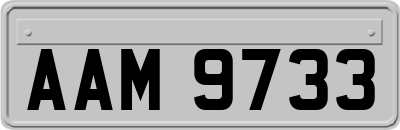 AAM9733