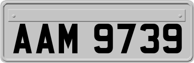 AAM9739
