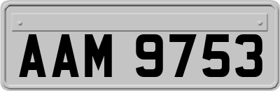 AAM9753