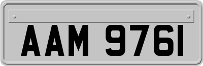 AAM9761