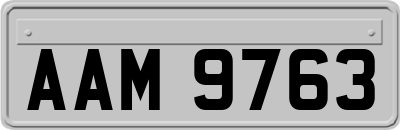 AAM9763
