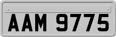 AAM9775