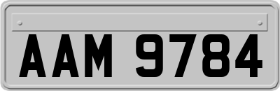 AAM9784