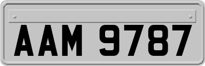 AAM9787