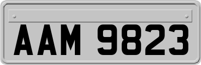AAM9823