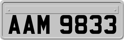 AAM9833