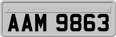 AAM9863