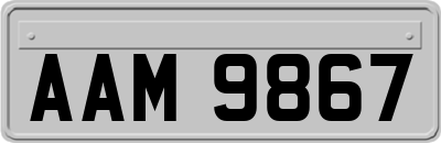 AAM9867