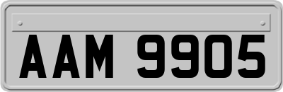 AAM9905