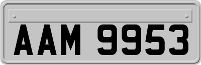AAM9953
