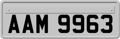 AAM9963